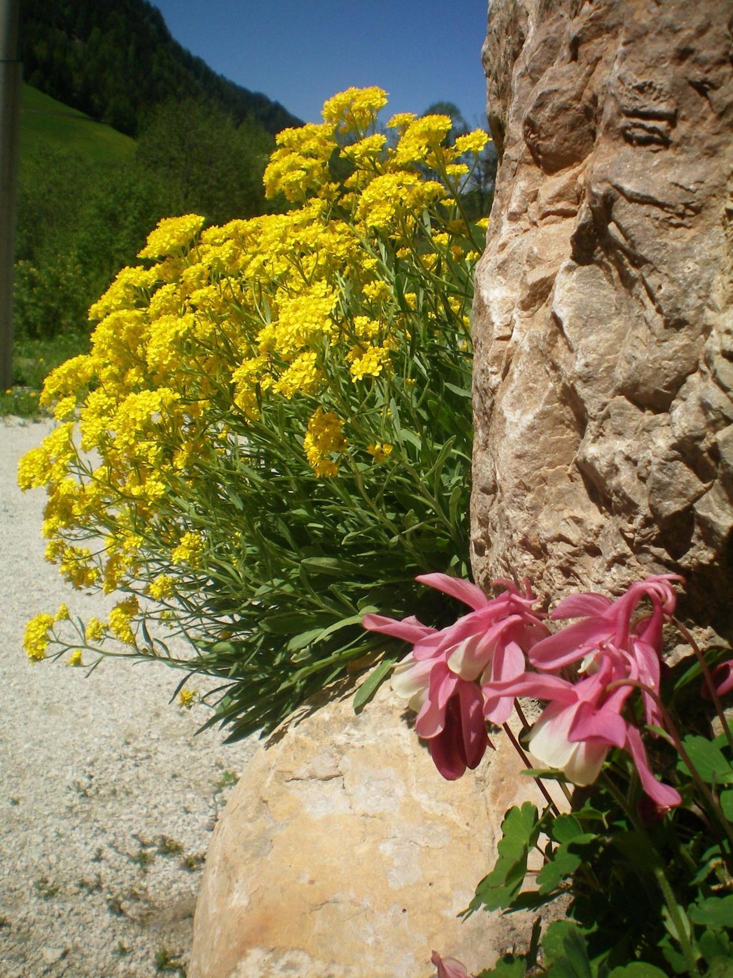 Villa Otto Santa Cristina Val Gardena Eksteriør bilde
