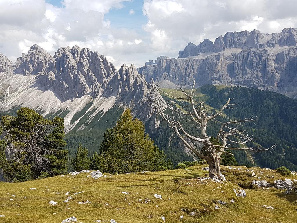 Villa Otto Santa Cristina Val Gardena Eksteriør bilde